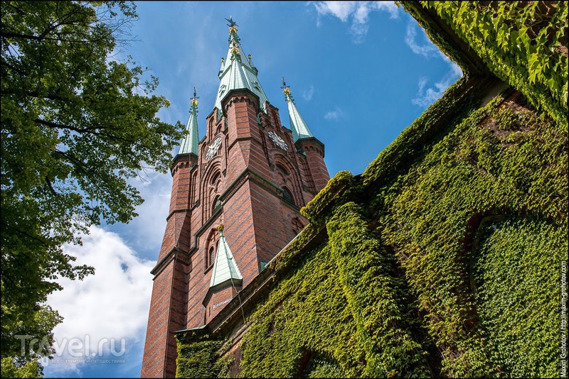 ���������. ������ ����� / ���� �� ������