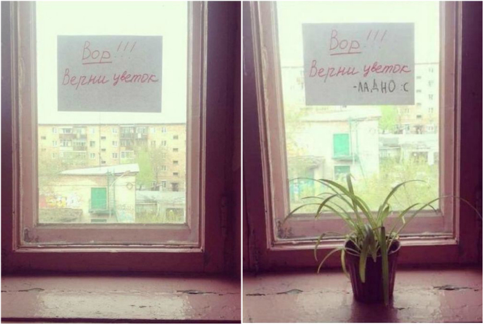 Похоже, совесть замучила! Похоже, совесть замучила!