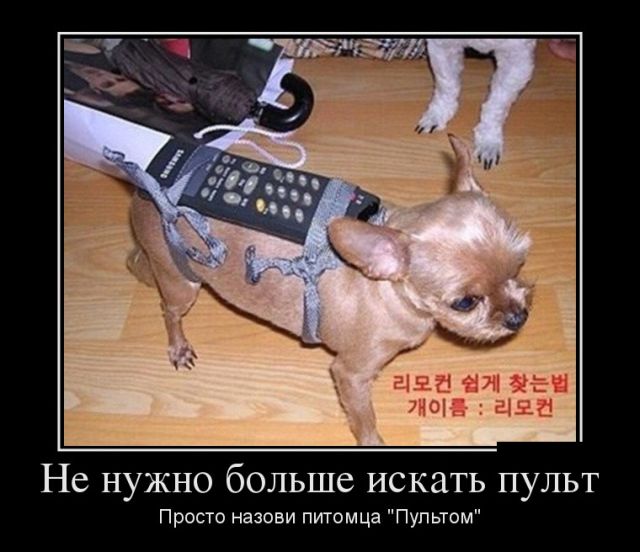 Забавные и веселые демотиваторы для хорошего настроения (11 фото) Забавные и веселые демотиваторы для хорошего настроения (11 фото)
