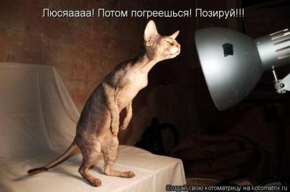 �����������(�������� � ���������)