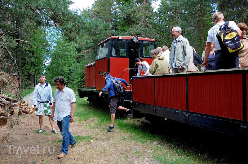 ����������� �� ������ ������ / ���� �� �������