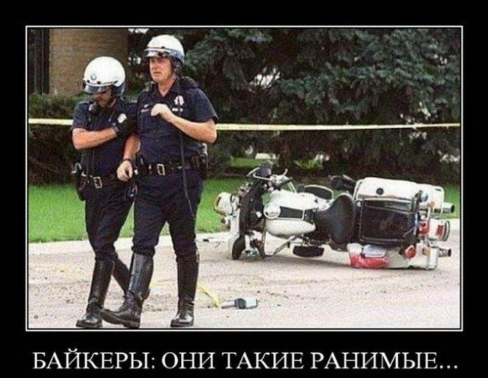 Демотиваторы (30 фото)