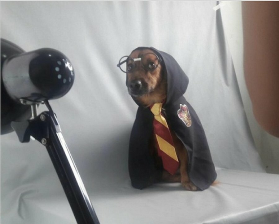 Фотографии, которые вернут вам веру в человечество Фотографии, которые вернут вам веру в человечество