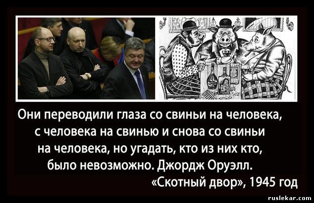 Год Свиньи - год Украины Год Свиньи - год Украины