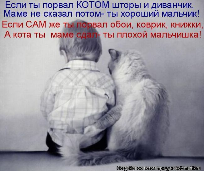 Лучшие котоматрицы недели