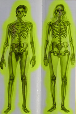 Скелет мужчины и женщины с биополем
