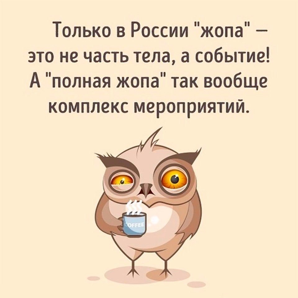 Только в России... Только в России...