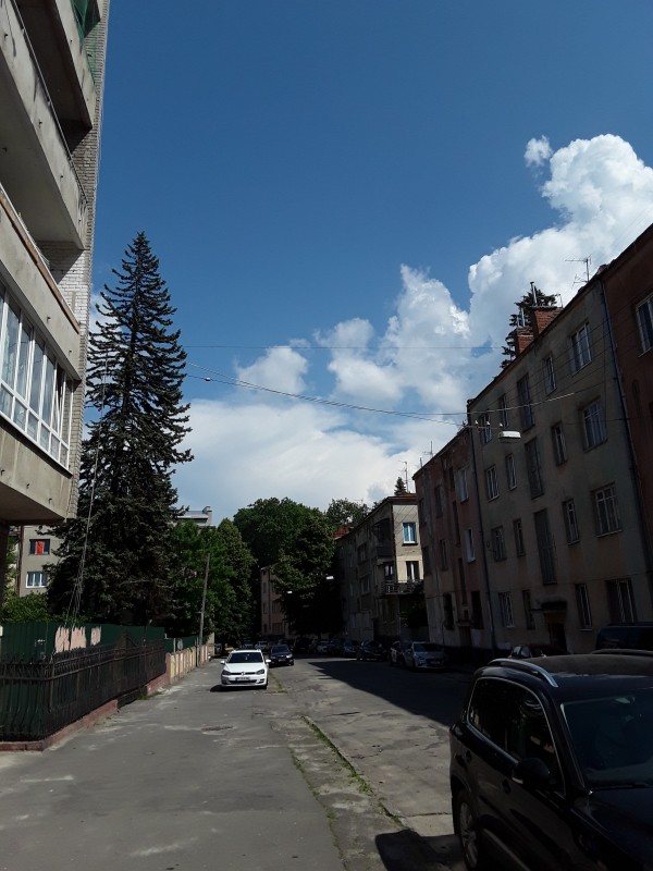 Одно субботнее утро