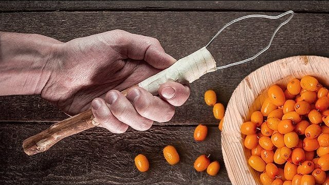 3 простых самодельных приспособления, которые здорово пригодятся для сбора урожая ягод