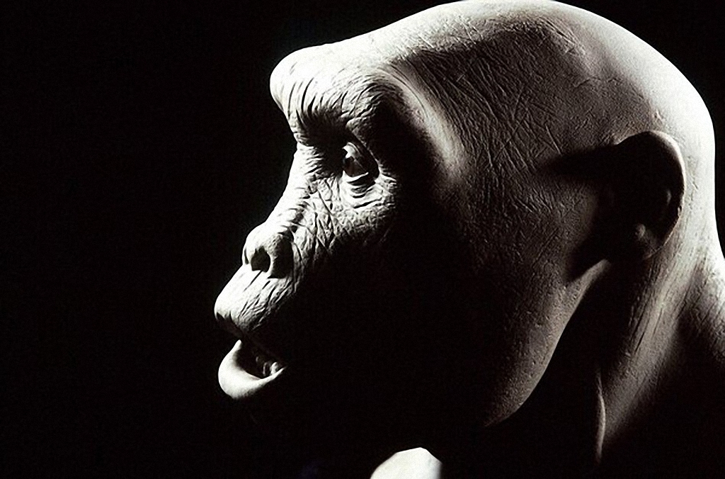 ЛЮДИ, ЖИВШИЕ МИЛЛИОНЫ ЛЕТ НАЗАД