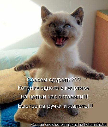 http://mtdata.ru/u9/photo47B1/20627276164-0/original.jpg