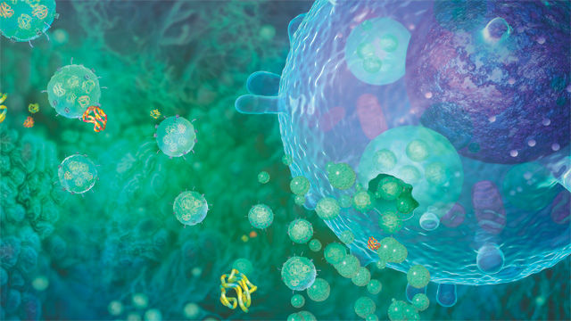 Экзосомы раковых клеток могут не только превратить здоровые клетки в больные, но и сделать опухоль более агрессивной (иллюстрация Science Photo Library). 