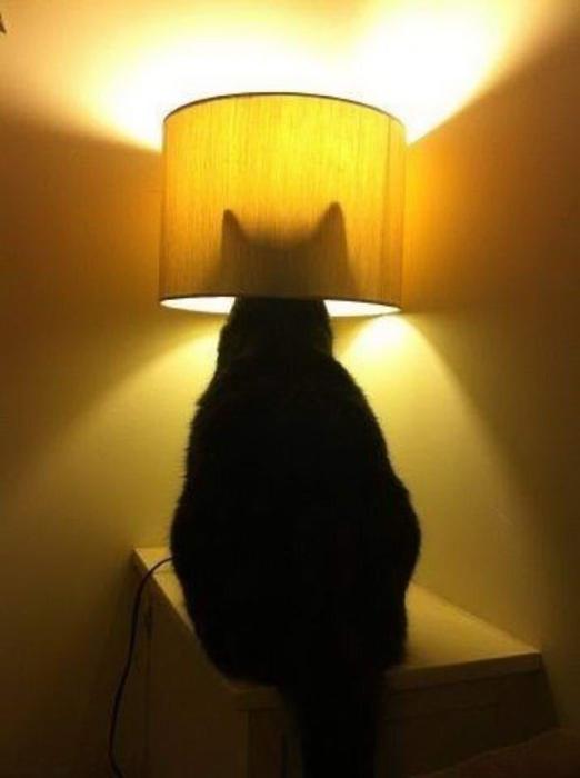 Давайте улыбаться вместе