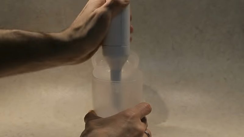 Соедините лист алоэ +черенок розы и поразитесь результату