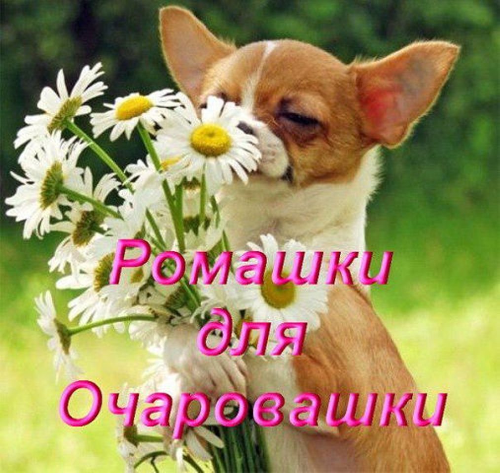 Красивые открытки не грусти все будет хорошо Красивые открытки не грусти все будет хорошо