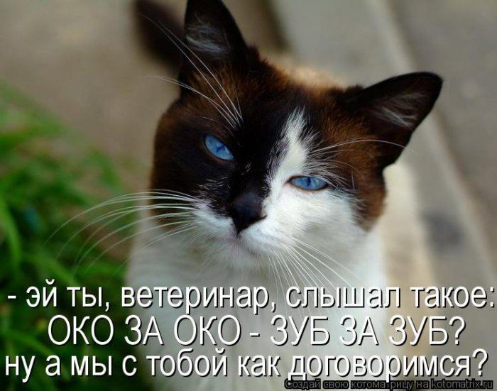 Мысли вслух :)