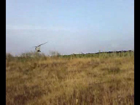 crazy russian корова