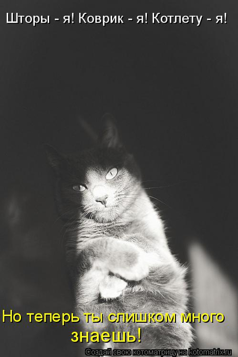 kotomatritsa_s3 (465x700, 150Kb)