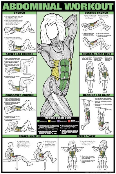 Workout & muscle
