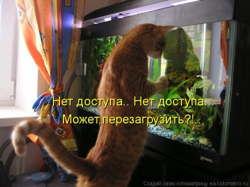 Нет доступа (котоматрица)