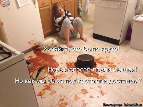 Самая убойная котоматрица Самая убойная котоматрица