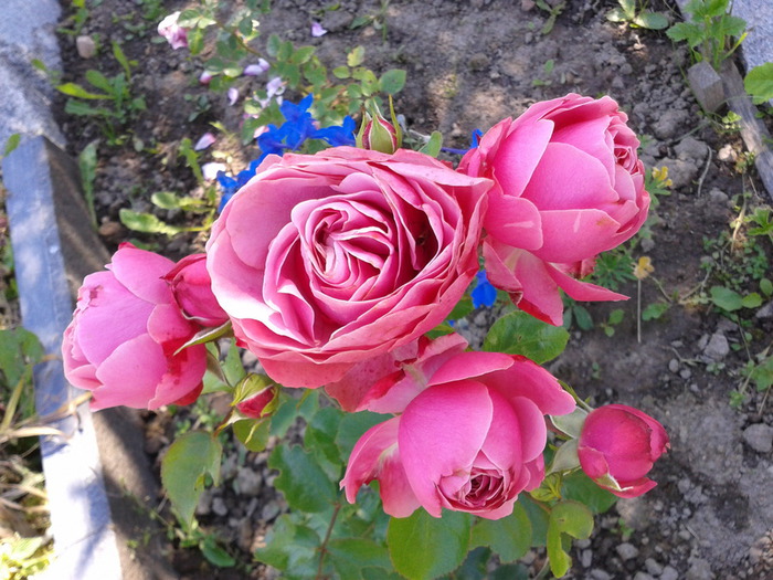 Фото-0027 (700x525, 149Kb)