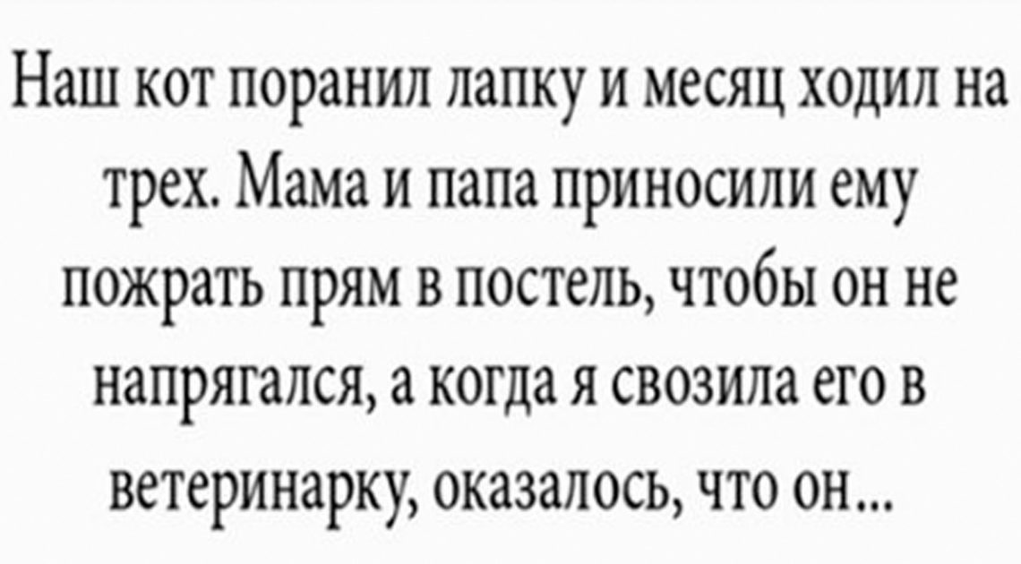 14 убойных историй для хорошего настроения 14 убойных историй для хорошего настроения