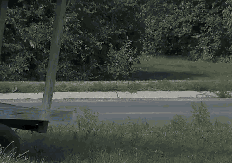 This Dog Was Elected The Mayor Of A Small Town In Minnesota