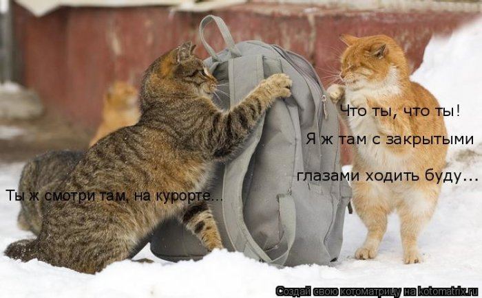 Мысли вслух :)