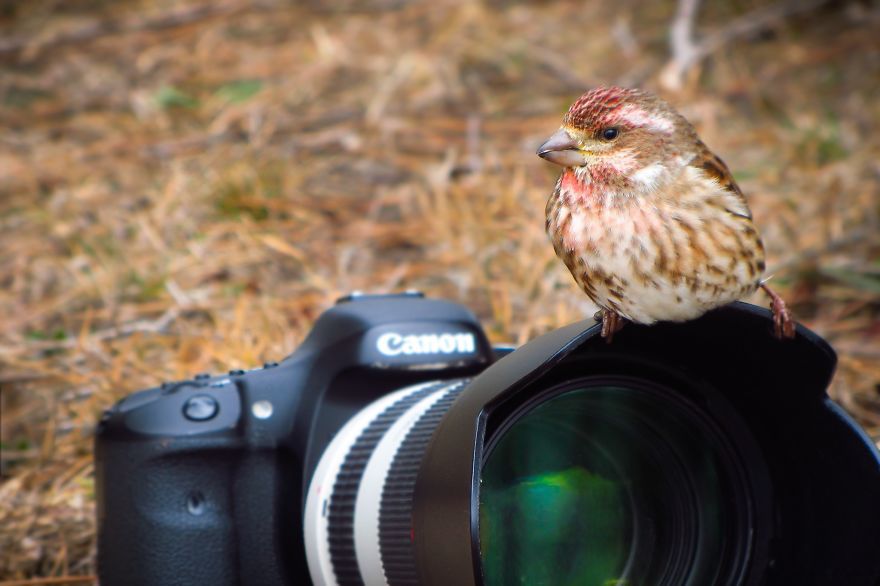 Фотограф