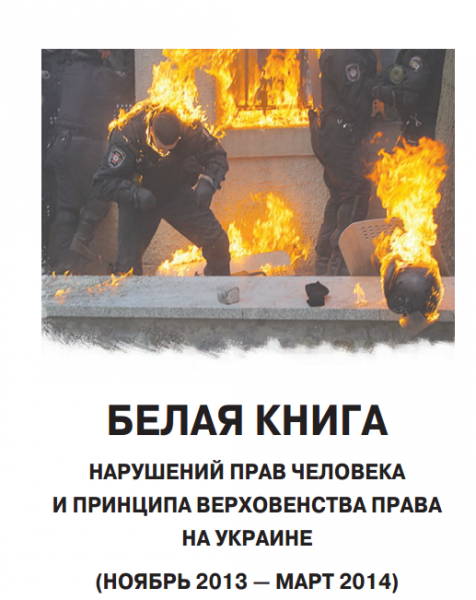 "Белая книга" МИД по Украине - повод для иска в Гаагский суд