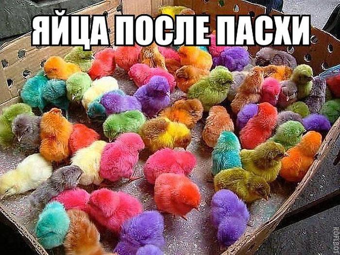 Давайте улыбаться вместе