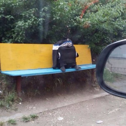 Что здесь происходит?! (29 фото) Что здесь происходит?! (29 фото)