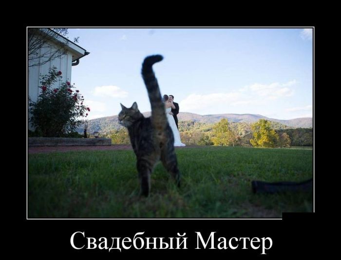 Свежие демотиваторы на воскресенье (10 фото) Свежие демотиваторы на воскресенье (10 фото)