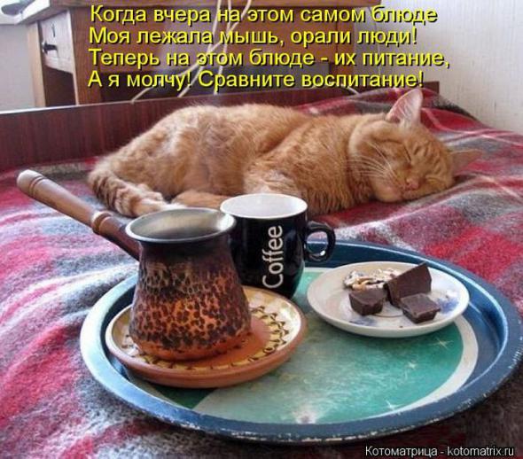 �����������(�������� � ���������)