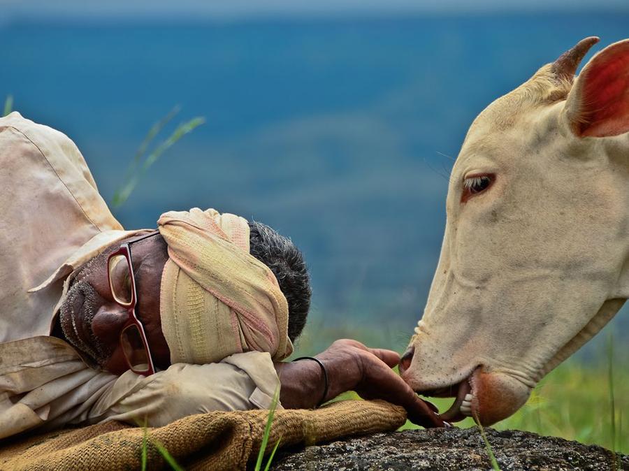Лучшие фотографии National Geographic за январь Лучшие фотографии National Geographic за январь