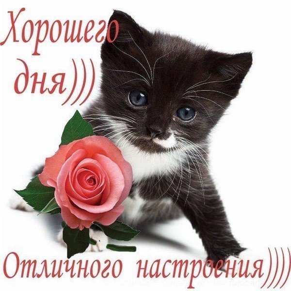 8  -   !
