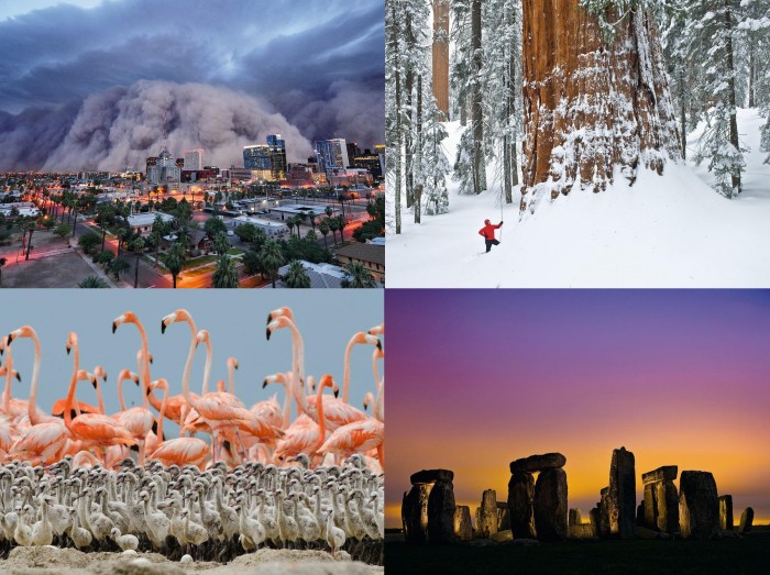Лучшие фотографии от National Geographic за прошлый год Лучшие фотографии от National Geographic за прошлый год