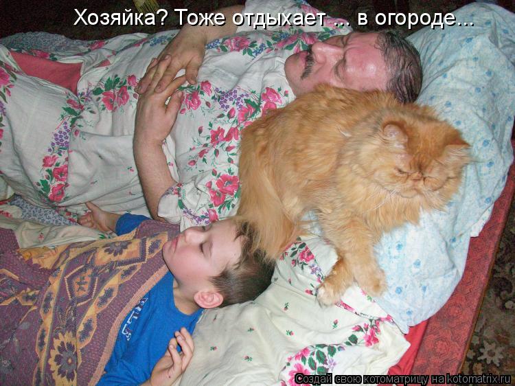 Котоматрица - Хозяйка? Тоже отдыхает ... в огороде...