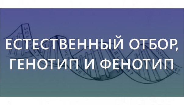 Ричард Докинз «Эгоистичный ген»