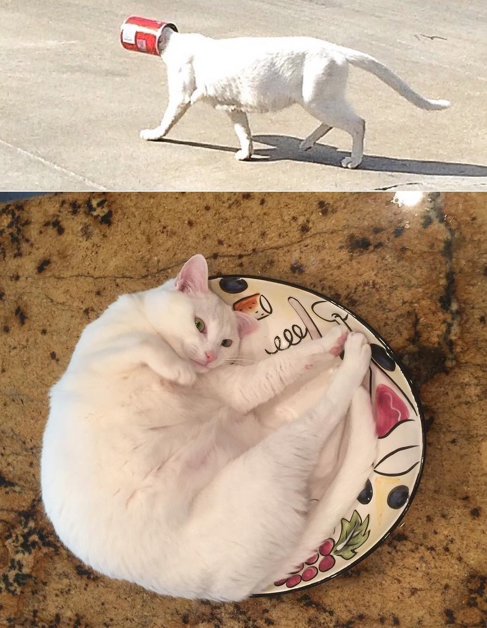 Ðез коÑа и Ð¶Ð¸Ð·Ð½Ñ Ð½Ðµ Ñа