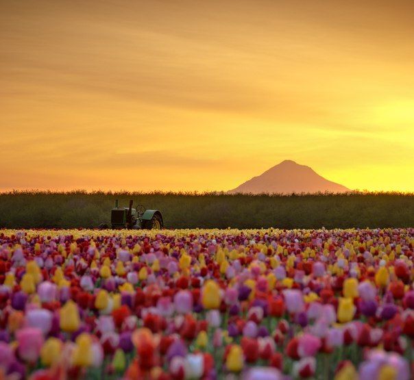 Больше, чем просто фото (50 фото)