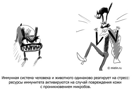 Грибок на ногах ребенка симптомы и лечение фото