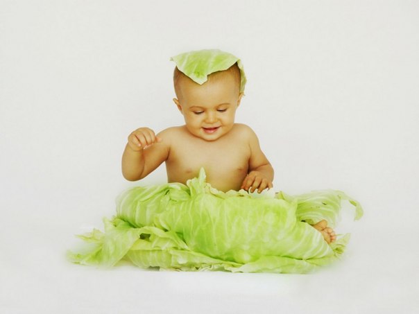 ������� ������ �������� ������� �� �����.