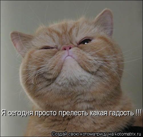  -       !!!
