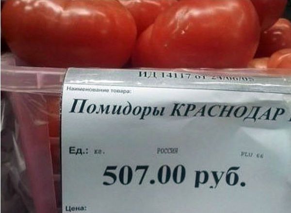 Свежий укроп: в России начался голод