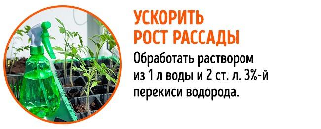 11 ситуаций, в которых спасет перекись водорода 11 ситуаций, в которых спасет перекись водорода