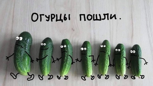 Анекдоты и приколы