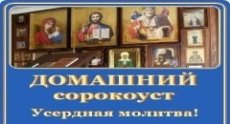 ЧТО ЗНАЧИТ ДОМАШНИЙ СОРОКОУСТ?