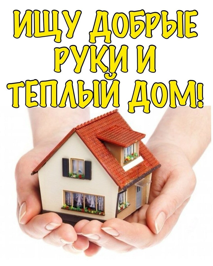 Брошенной кошке нужен дом. Брошенной кошке нужен дом.